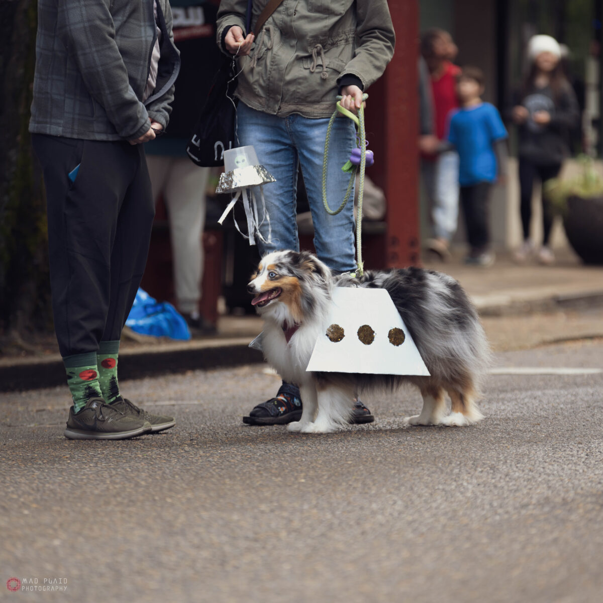 UFO Festival McMinnville Downtown Association