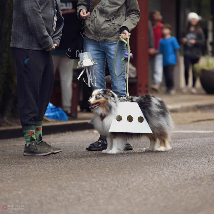 UFO Festival Parade: Application and Fee